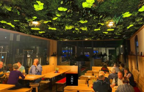 Dschungelmooswand Decke Restaurant in Sohland