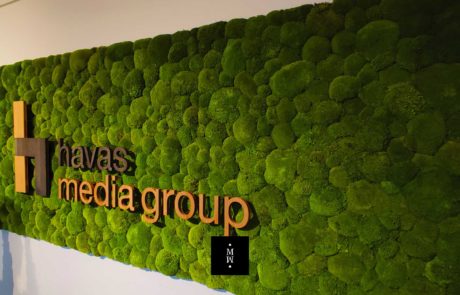 Moosbild Ballenmoos mit Logo Havas Media Group