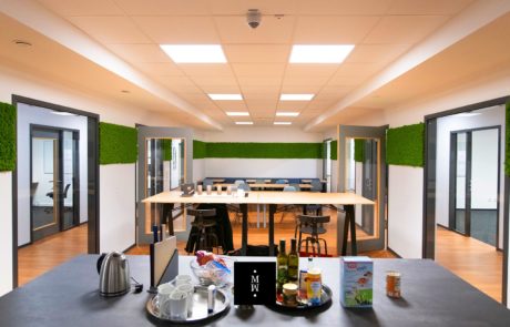 Wandstreifen aus Islandmoos im Klassenzimmer