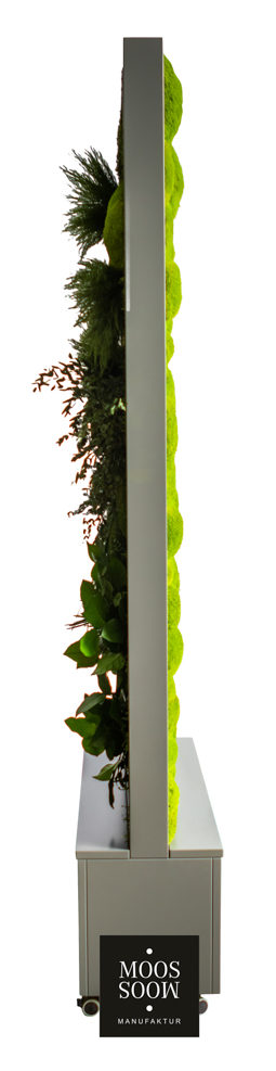 Raumteiler mit Pflanzenmoos und Ballenmoos seitliche Ansicht