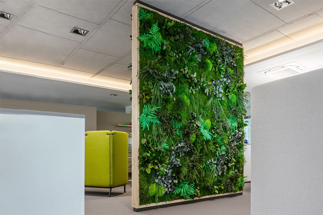 großer Raumtrenner Raumteiler aus Dschungel Moos steht inmitten eines modernen Büros