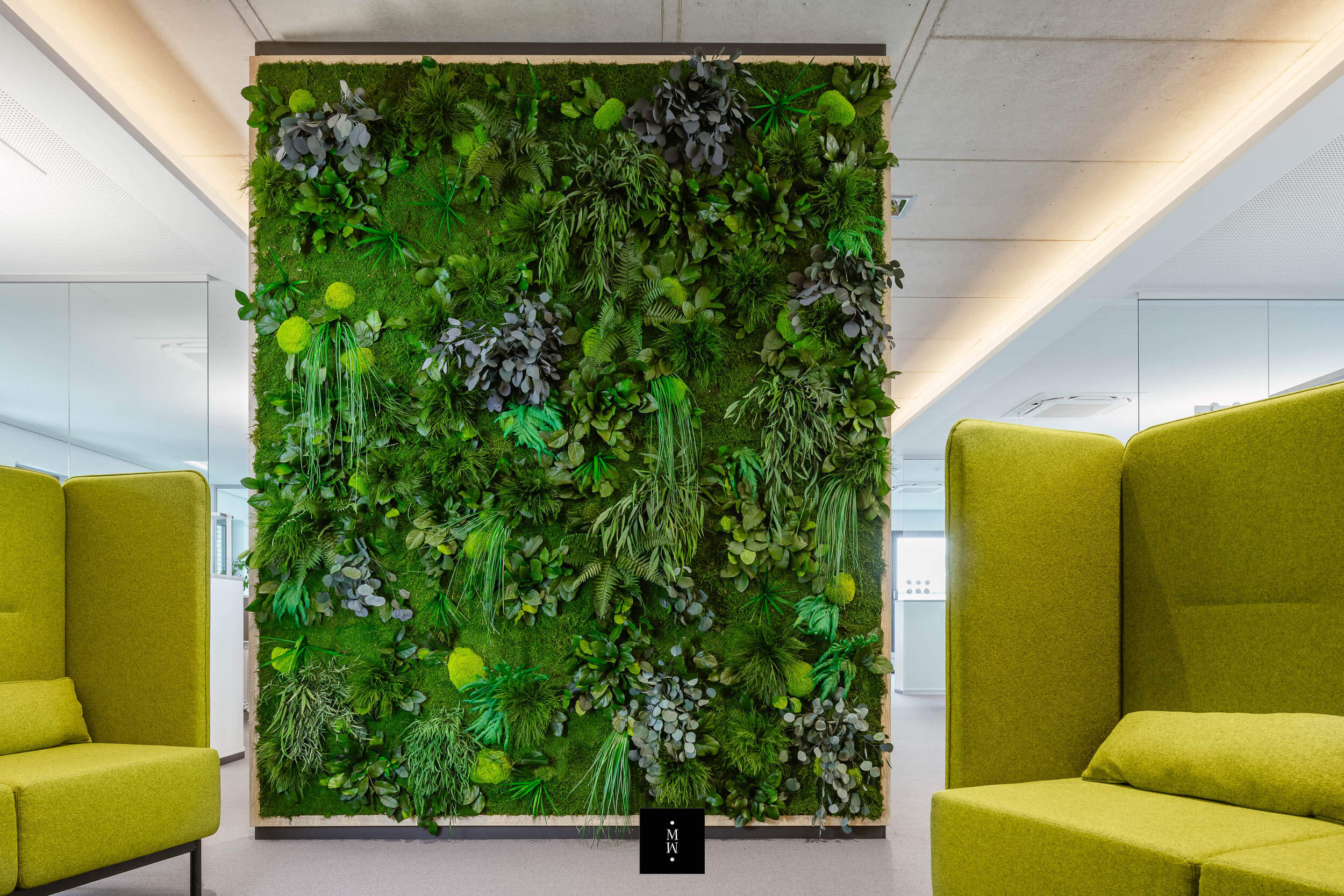 Großer Raumteiler aus Moos und Pflanzen in einem Büro