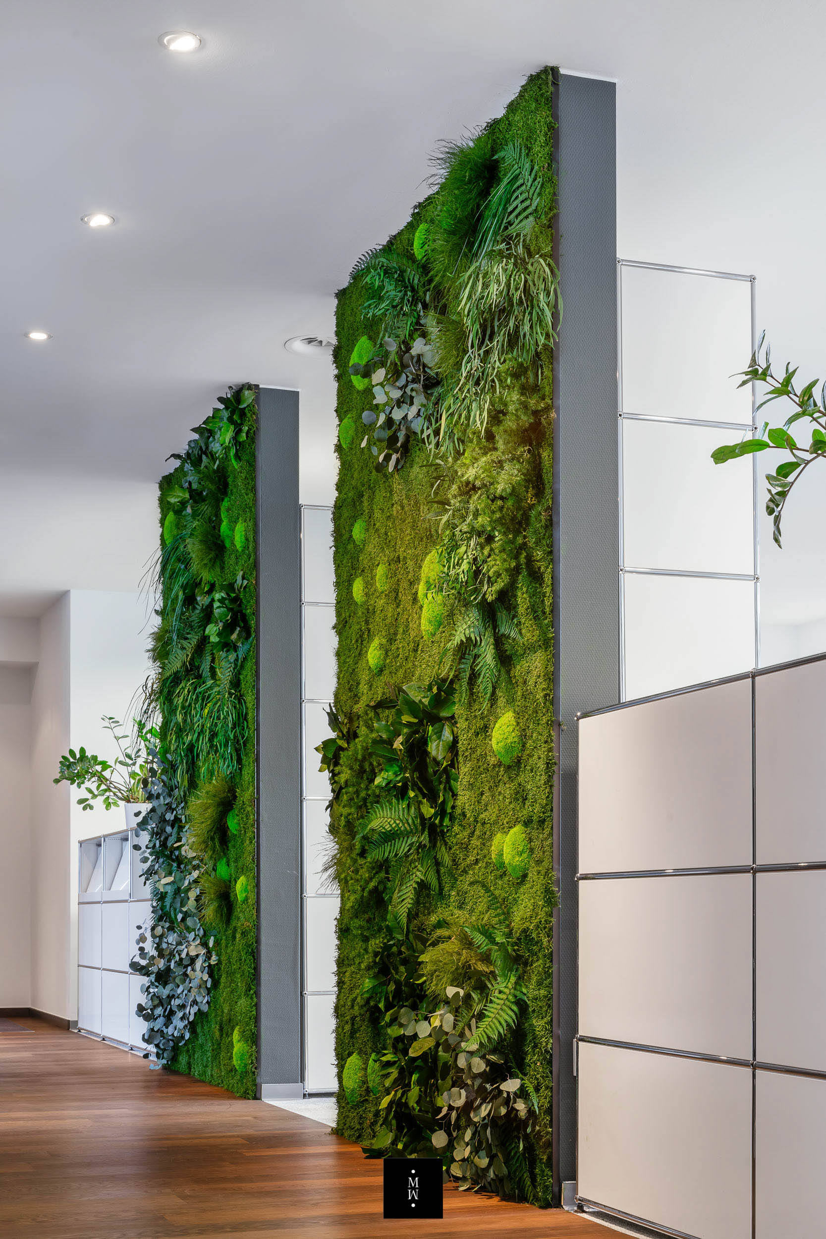 Dschungelmosswand in einem modernem Büro 