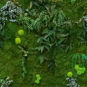 Pflanzenmoss/
Pflanzen/
Premium