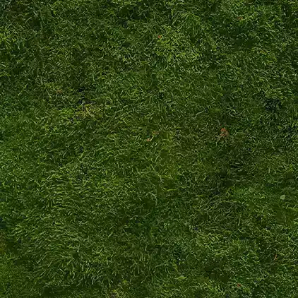 Waldmoos/ Waldgrün/ dunkel Grün/ Premium