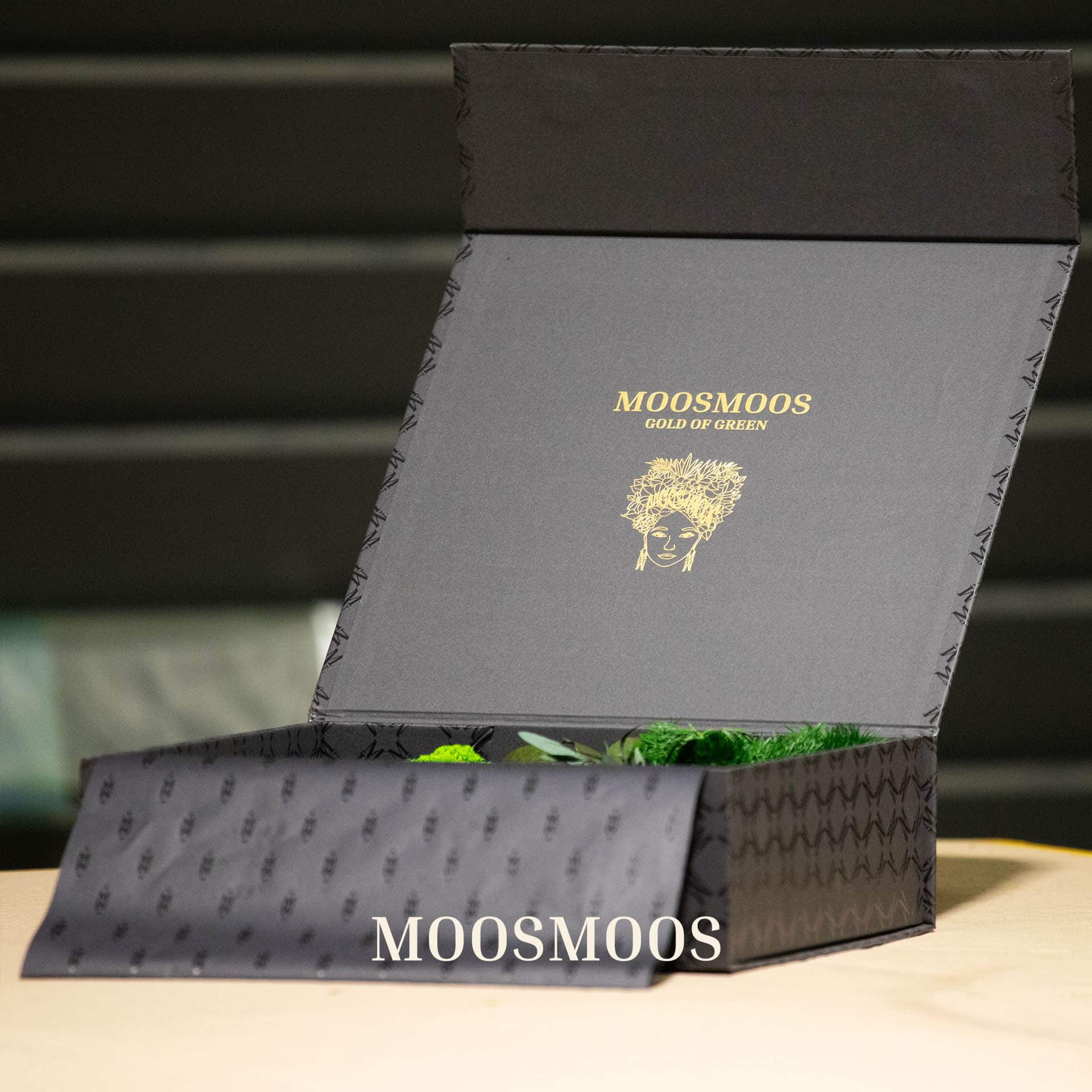 MOOSMOOS Musterbox , mit Islandmoos Muster, Ballenmoos Muster & Dschungelpflanzen Muster 