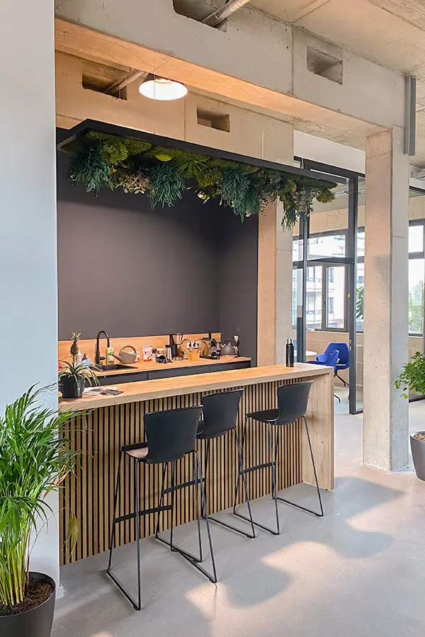 Moderne Büro-Küche mit hängender Moosdecke als Innenbegrünung