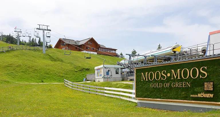MoosMoos Greenovation Fassadenfläche aus Waldmoos an Skiliftstation – ökologische Außenbegrünung
