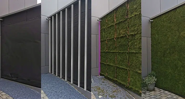 Vertikale Mooswand aus Waldmoos an moderner Hausfassade – natürliche Greenovation Fassadengestaltung